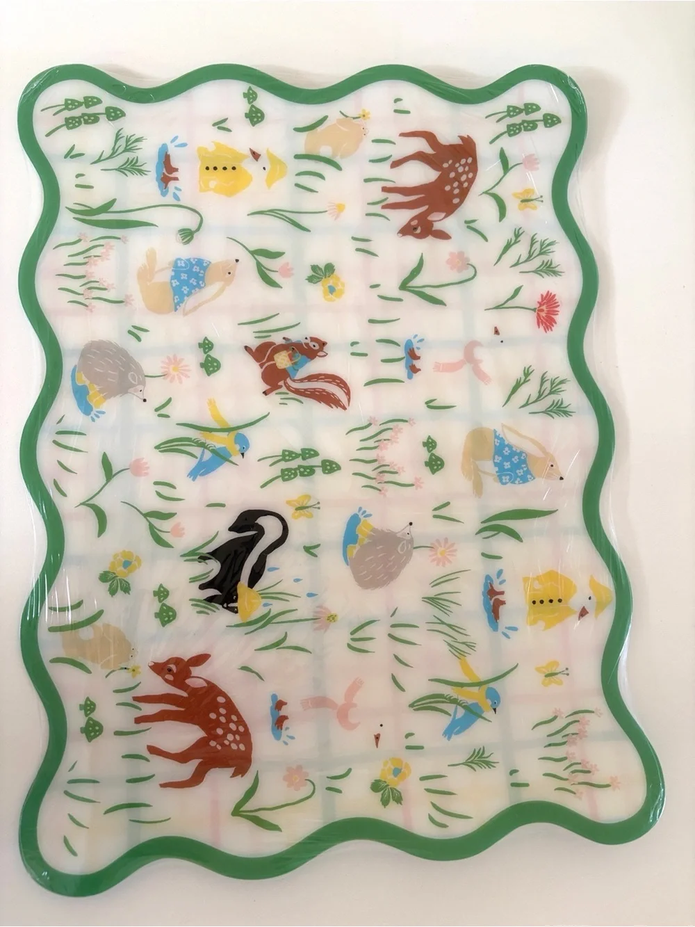 🆕 Pillowfort Placemats